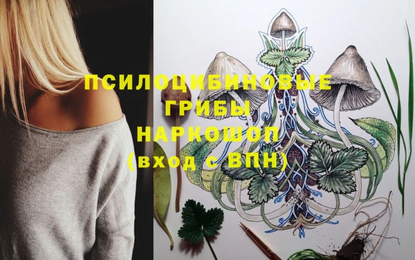 метамфетамин Богородицк