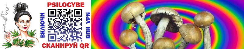 Галлюциногенные грибы Cubensis Дятьково