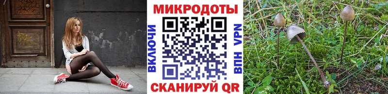 МЕГА как войти  Дятьково  Галлюциногенные грибы Cubensis 